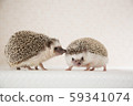 刺猬夫婦 59341074