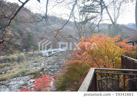 小田山,月井寺,上原寺杉林步道,名勝古蹟,江原道平昌郡神武面8號寺 小田山,月井寺,上原寺杉林步道,名勝古蹟,江原道平昌郡神武面8號寺 59341661