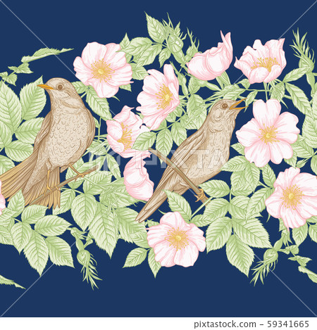 Dog-rose, briar, brier, eglantine, canker-rose Dog-rose, briar, brier, eglantine, canker-rose 59341665