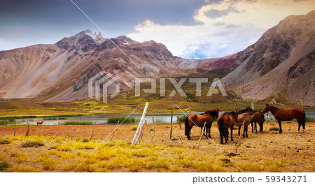 Andes near Las Lenas 59343271