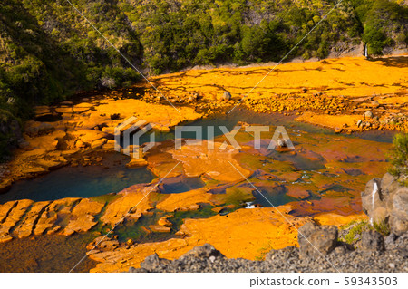 Salto del Agrio and Agrio river Salto del Agrio and Agrio river 59343503