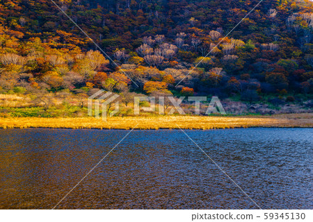 秋天的K滿安[群馬縣赤城山] 59345130