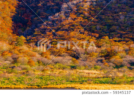 Autumn Kakuman-an [Mt. Akagi, Gunma Prefecture] 59345137