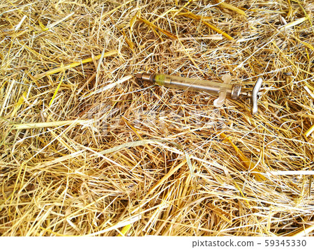 injection needle on hay bale 59345330