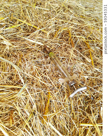 injection needle on hay bale 59345331