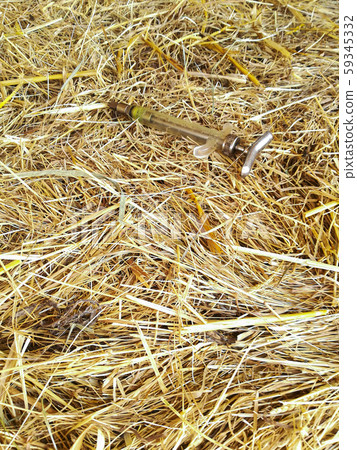 injection needle on hay bale injection needle on hay bale 59345332