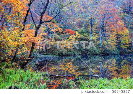 小月池 小月池 59345837