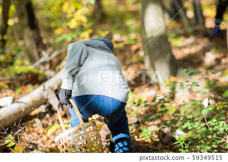Autumn enjoying mushroom picking 59349515