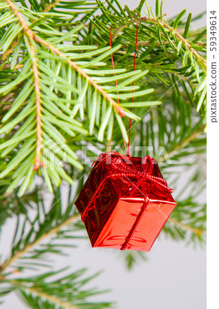 Christmas or New Year Background with green christmas tree branch, vibrant red color box 59349614