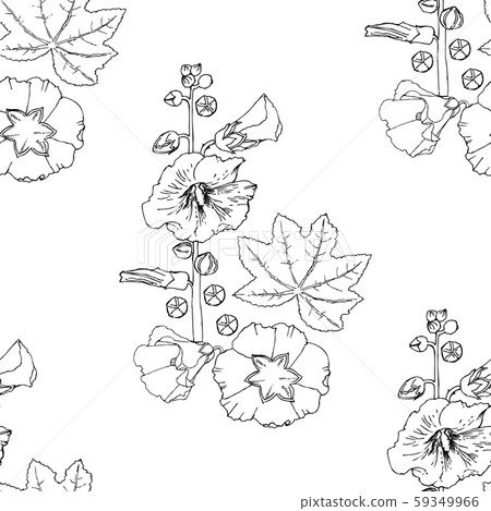Malva seamless pattern Summer Flowers Sketches. Hand Drawn Digital Illustration Malva seamless pattern Summer Flowers Sketches. Hand Drawn Digital Illustration 59349966