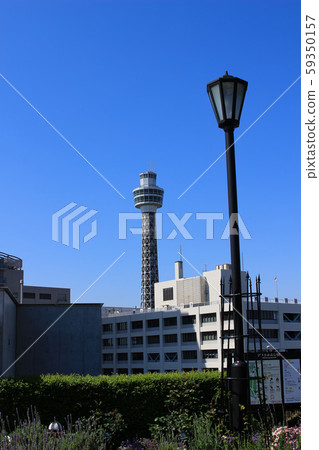 Exotic Yokohama 59350157