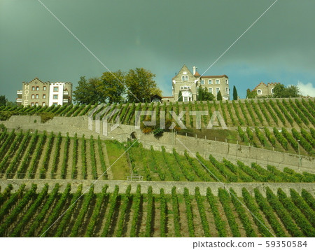 German orchard seen from train 59350584