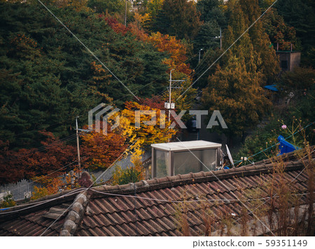 The streets of autumn The streets of autumn 59351149