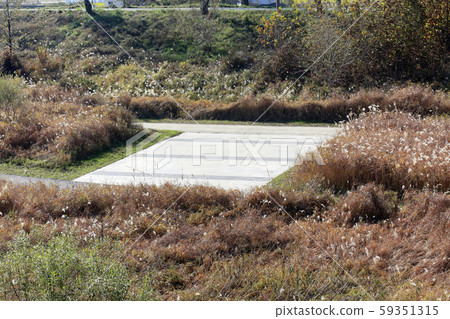 潘帕斯森林,河,河走道 潘帕斯森林,河,河走道 59351315