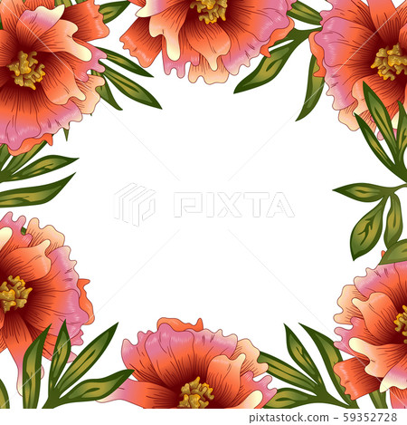 Peony frame flowers in a vector style. Peony frame flowers in a vector style. 59352728