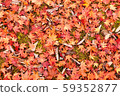 Carpet of autumn leaves 59352877