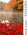 Autumn leaves of the cloud pool pond 59352905