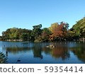 Washed pond 59354414