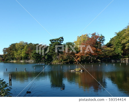 Washed pond Washed pond 59354414