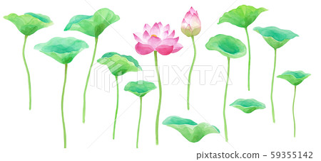 蓮花花和葉的零件設置水彩插圖 蓮花花和葉的零件設置水彩插圖 59355142