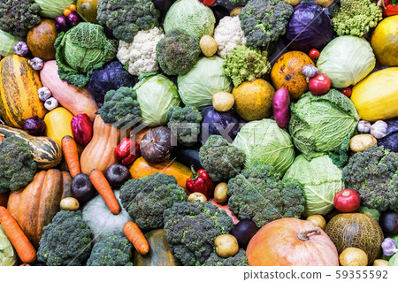 autumn harvest of different vegetables and root crops autumn harvest of different vegetables and root crops 59355592