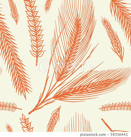Vintage wheat seamless pattern. Rye background. Corn or Cereal for Bakery poster. Hand drawn Vintage wheat seamless pattern. Rye background. Corn or Cereal for Bakery poster. Hand drawn 59356441