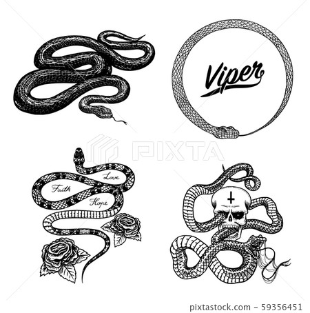 Vintage snake set. Royal python with skull and roses, milk reptile, venomous cobra. Poisonous Viper Vintage snake set. Royal python with skull and roses, milk reptile, venomous cobra. Poisonous Viper 59356451