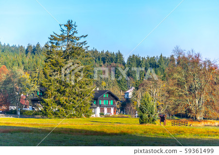 Mountain village Kladska with typical wooden houses. Kladska, Czech Republic Mountain village Kladska with typical wooden houses. Kladska, Czech Republic 59361499