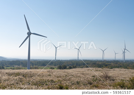 Pampering Field and Wind Generator Pampering Field and Wind Generator 59361537