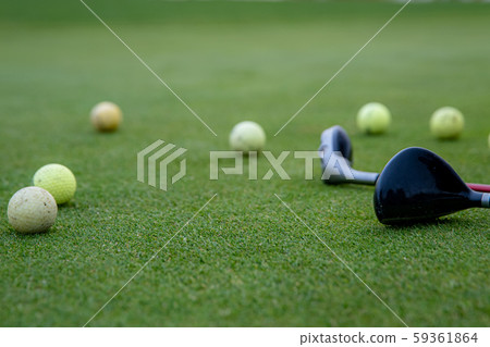 A golf player prepares the ball to be fired at the golf course A golf player prepares the ball to be fired at the golf course 59361864