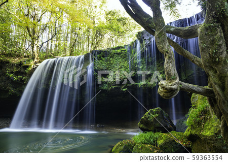 Kobagatsu瀑佈在熊本縣小國町太漂亮了 59363554