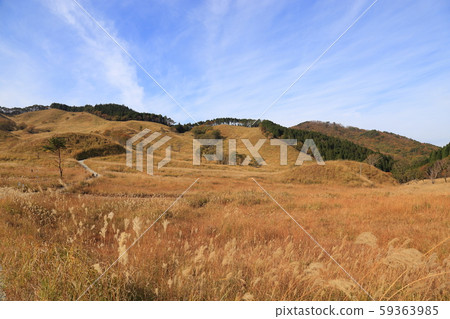 峰高原[位置/遠足路線/秋天]兵庫縣上川町 59363985