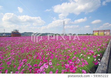 Oto Sakura Highway Flower Park Oto Sakura Highway Flower Park 59365222