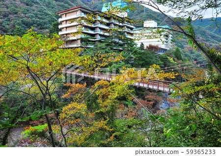 Kinugawa Onsen Kinugawa, Takimibashi and autumn leaves 59365233
