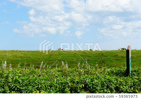 Hokkaido ranch scenery Hokkaido ranch scenery 59365973