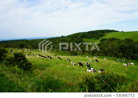 Hokkaido ranch scenery 59366755