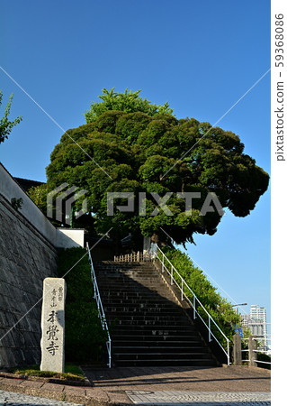 Yokohama · Honka-ji Yokohama · Honka-ji 59368086