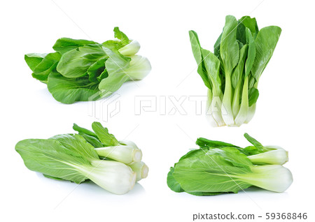 Bok choy (chinese cabbage) isolated on white 59368846