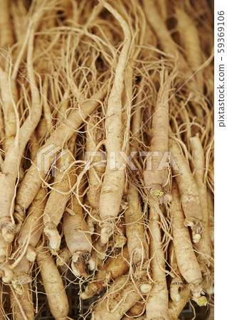 Ginseng Ginseng 59369106