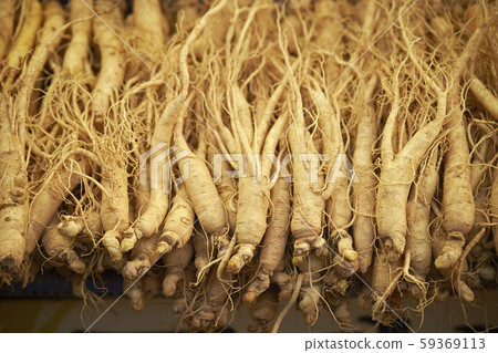 Ginseng Ginseng 59369113
