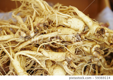 Ginseng 59369114