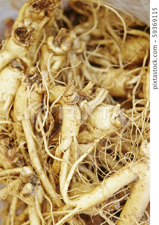 Ginseng Ginseng 59369115