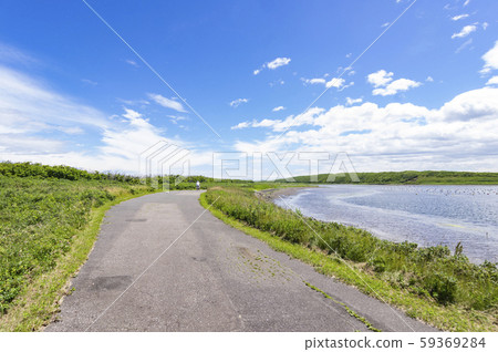 瓦卡野生花卉園 59369284