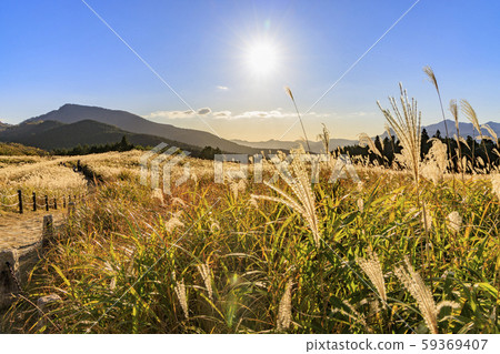 H高原 H高原 59369407