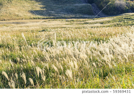 Hagi plateau 59369431