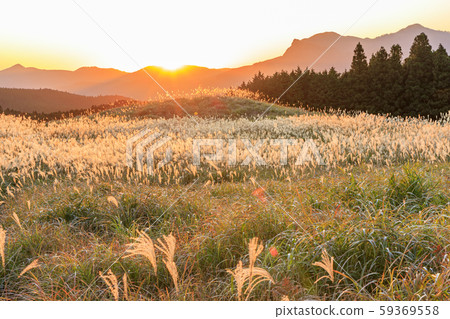 Hagi plateau 59369558