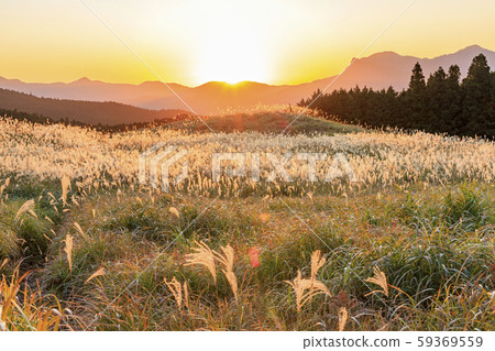 Hagi plateau 59369559