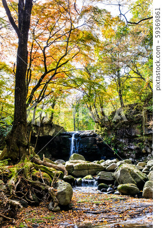 Autumn leaves of the Mageno Valley [Minamioguni-machi, Aso-gun, Kumamoto Prefecture] 59369861