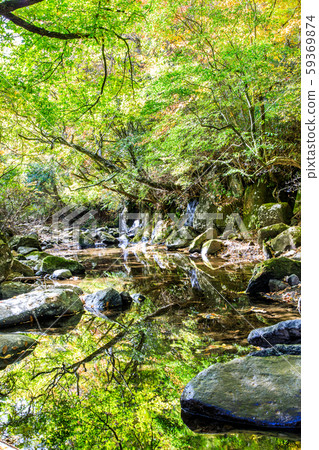 Autumn leaves of the Mageno Valley [Minamioguni-machi, Aso-gun, Kumamoto Prefecture] 59369874