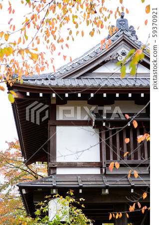 秋田縣千秋公園（櫻花） 59370921